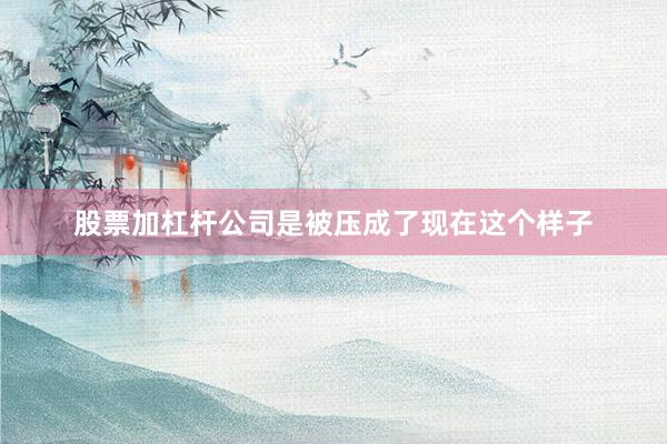 股票加杠杆公司是被压成了现在这个样子