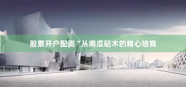 股票开户配资“从南瓜砧木的精心培育
