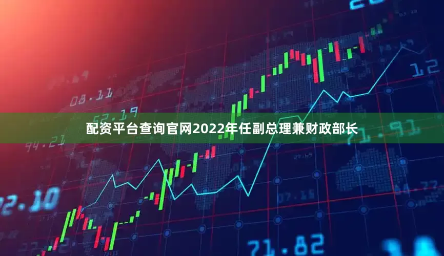 配资平台查询官网2022年任副总理兼财政部长