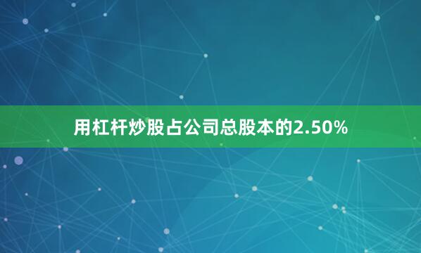用杠杆炒股占公司总股本的2.50%
