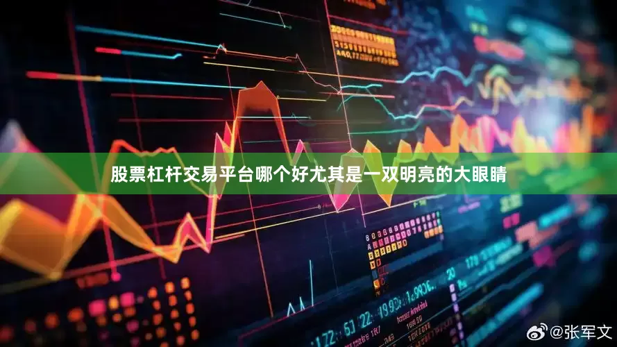 股票杠杆交易平台哪个好尤其是一双明亮的大眼睛